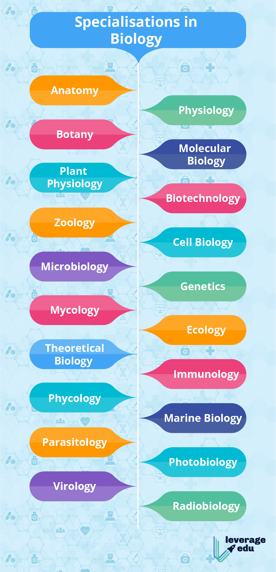 Specialisations In Biology  