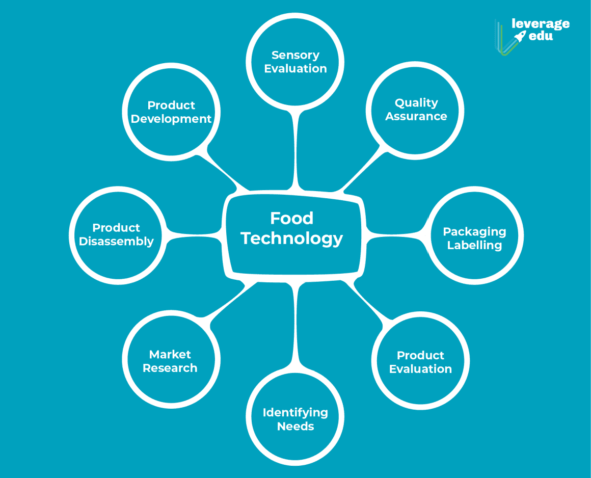 how many years course is food technology