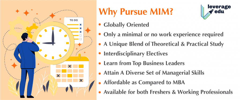 Why Pursue MIM