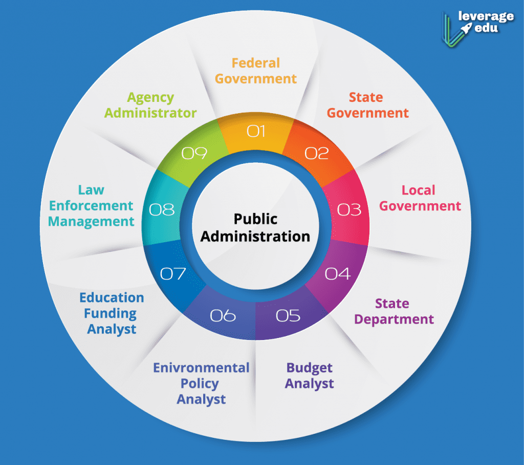 case study examples public administration