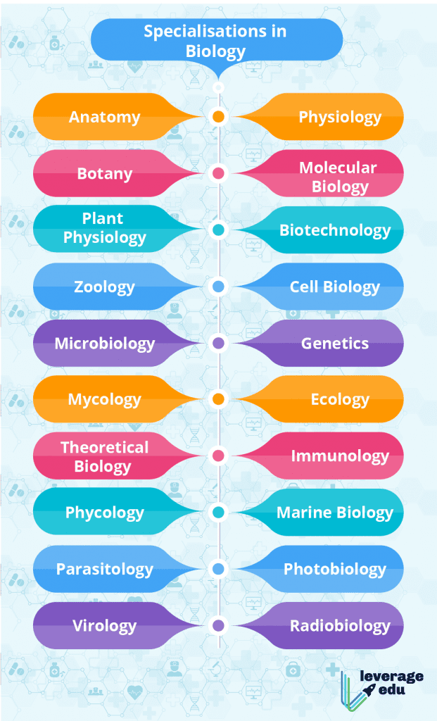 Specialisations in Biology