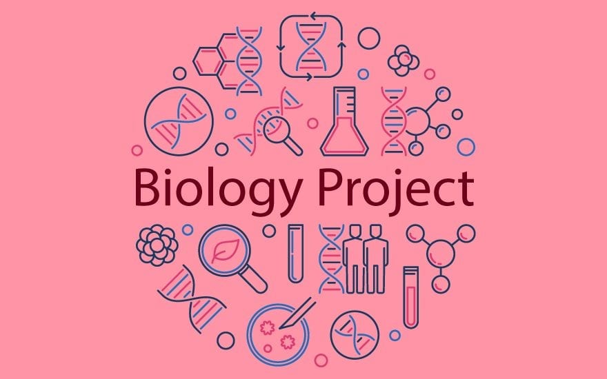 Biology Project For Class 11 Top 50 Ideas Experiments Leverage Edu