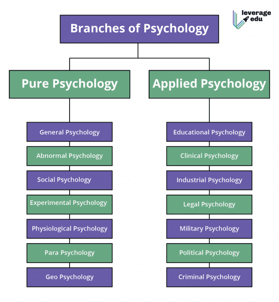 integrated msc phd in psychology