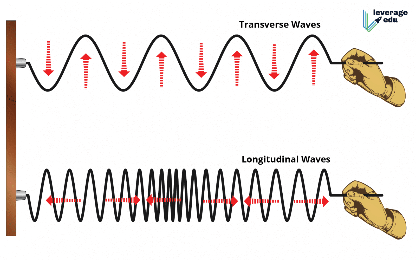 all waves travel up and down