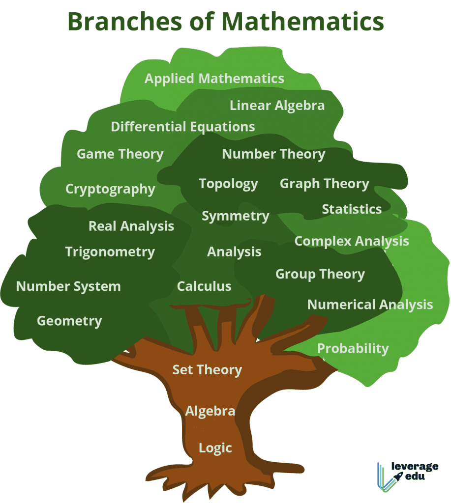 Branches-of-Mathematics-1-917x1024.png