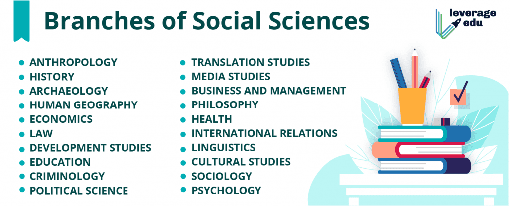 Branches of Social Sciences, their Meanings, Importance - Leverage Edu