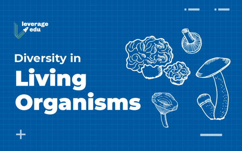 diversity in living organisms essay in english