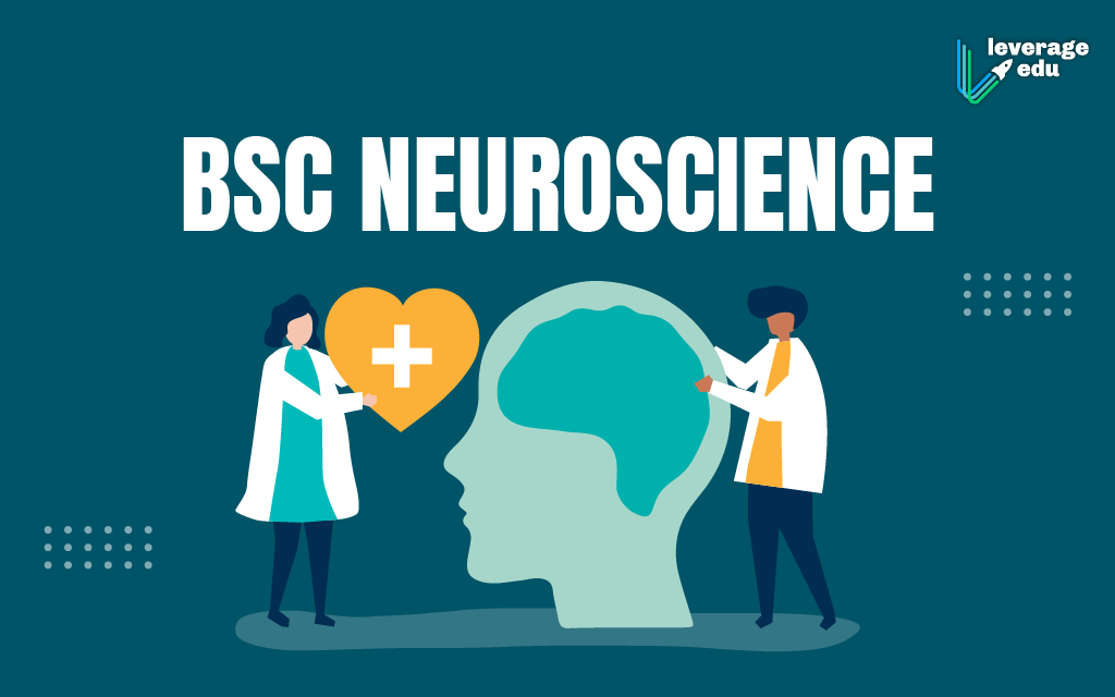 BSc Neuroscience Syllabus, Scope, Salary in India 2022 - Leverage Edu