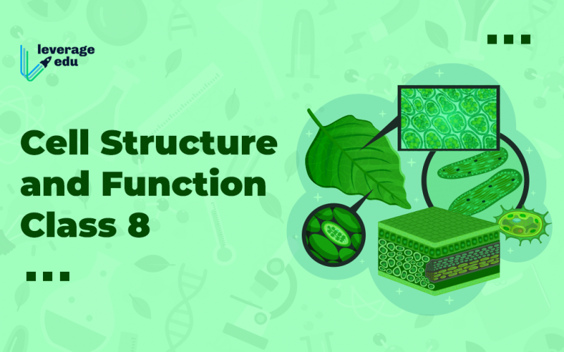 Cell Structure and Function Class 8