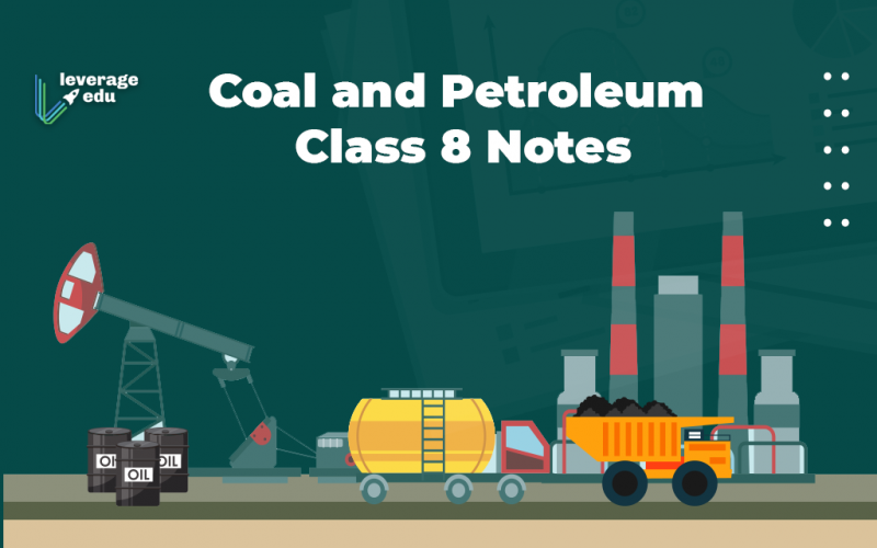 Coal and Petroleum Class 8 Notes