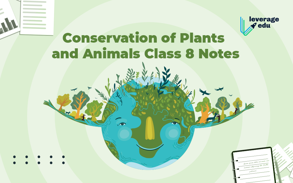 Conservation of Plants and Animals Class 8 Notes - Leverage Edu