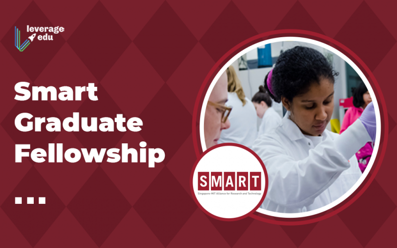 Smart Graduate Fellowship