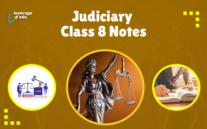 Judiciary Class 8
