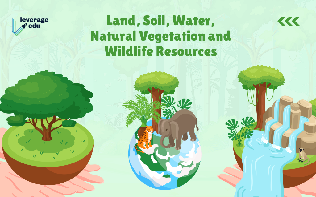Land Soil Water Natural Vegetation and Wildlife Resources - Leverage Edu