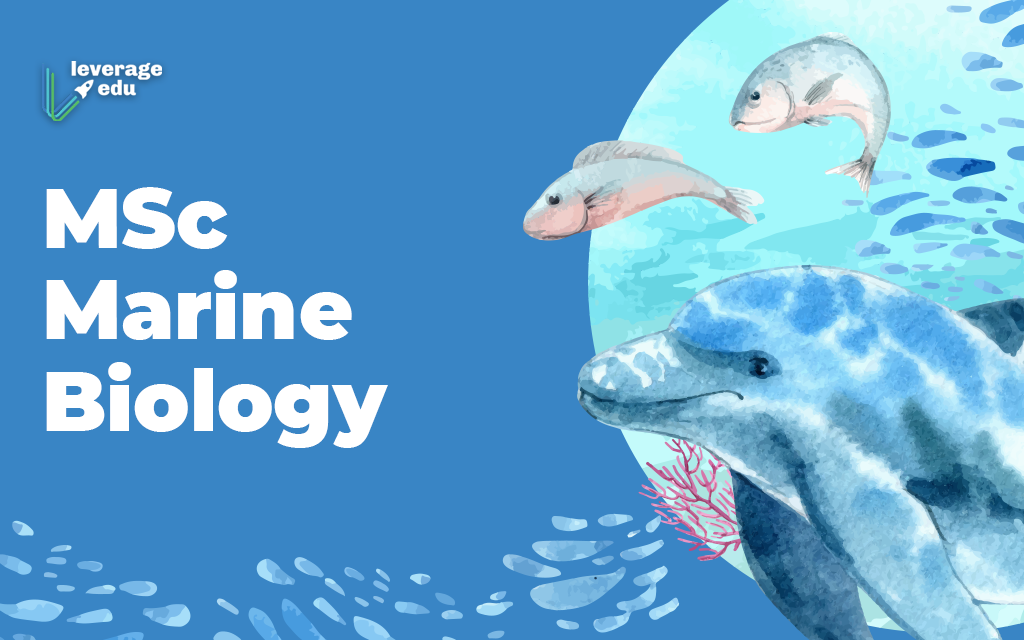 MSc Marine Biology: Colleges, Eligibility, Jobs, Scope - Leverage Edu