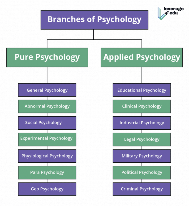 what is case study in psychology class 11