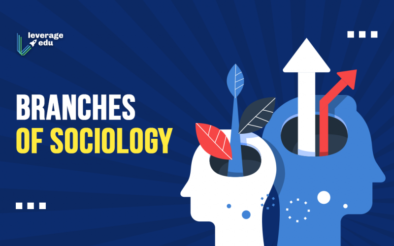 Branches of Sociology