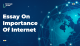 Essay On Importance Of Internet