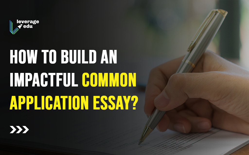 the common application essay