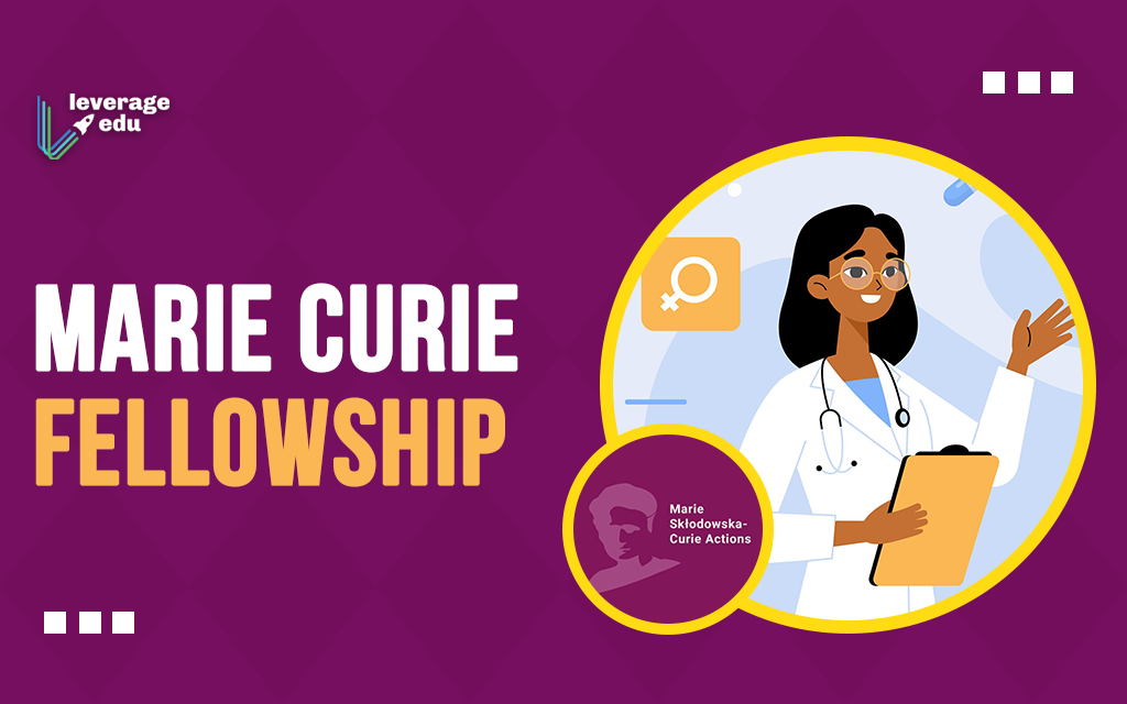 marie curie scholarship for phd