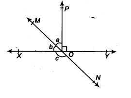 Class 9 Lines and Angles Solved Examples NCERT
