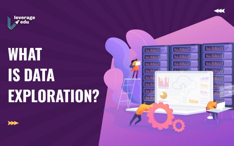 What is Data Exploration