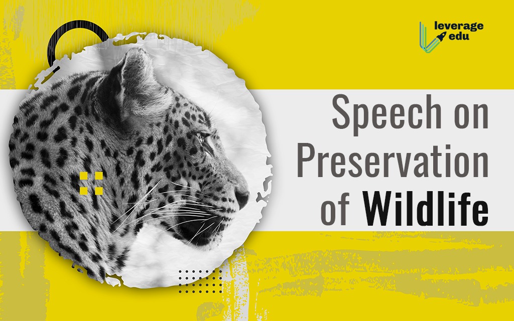 Preservation of Wildlife Speech for ASL, 250-500 Words - Leverage Edu