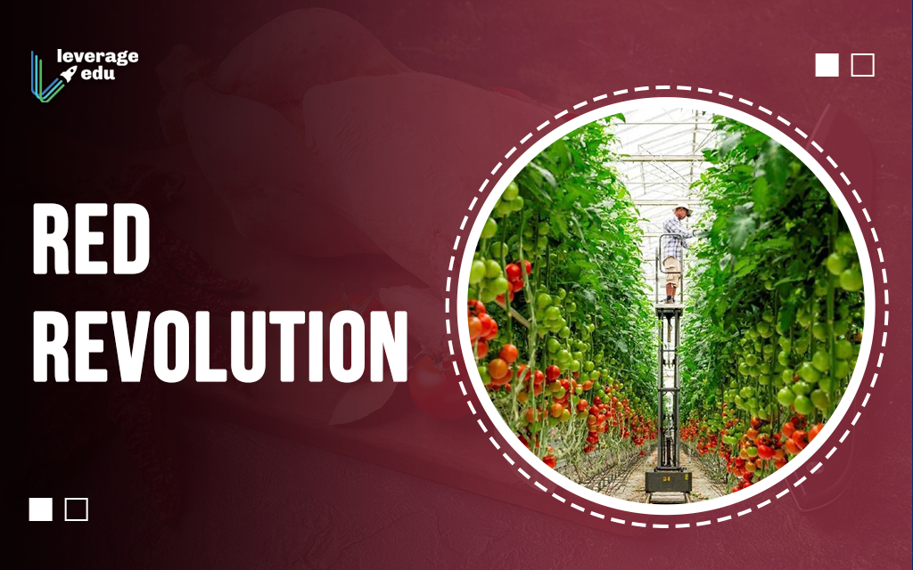 Juster Vejhus æggelederne Red Revolution: A Boom in Tomato and Meat Industry | Leverage Edu