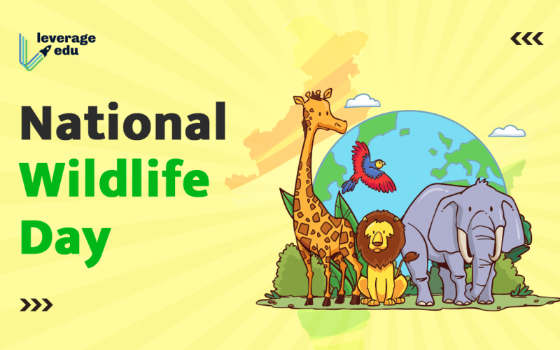 national wildlife day 2023
