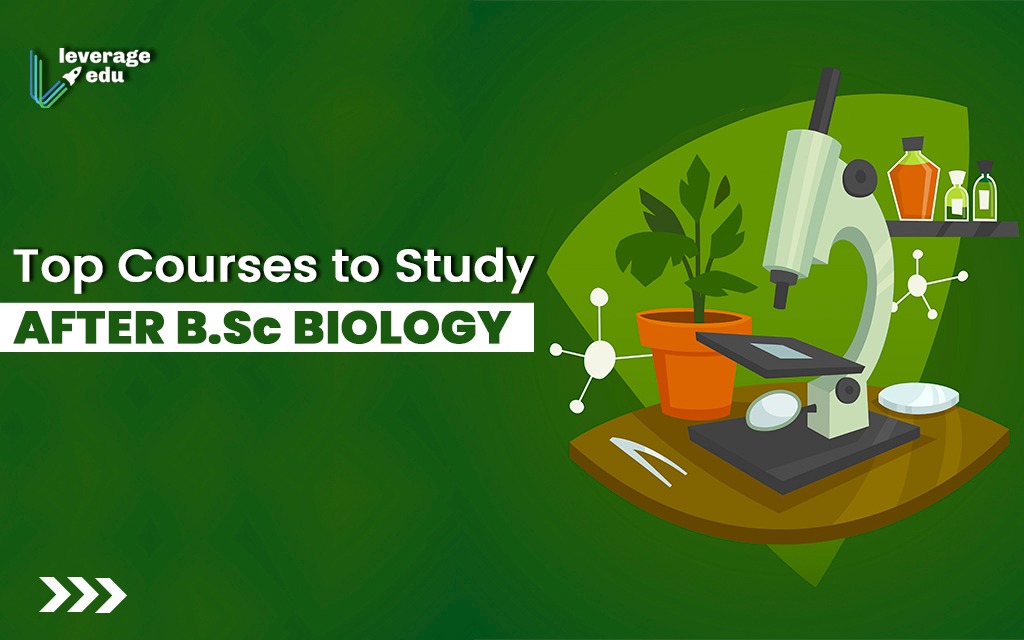 masters courses for biology education