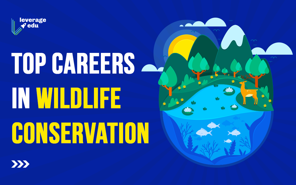 Top Careers in Wildlife Conservation - Leverage Edu