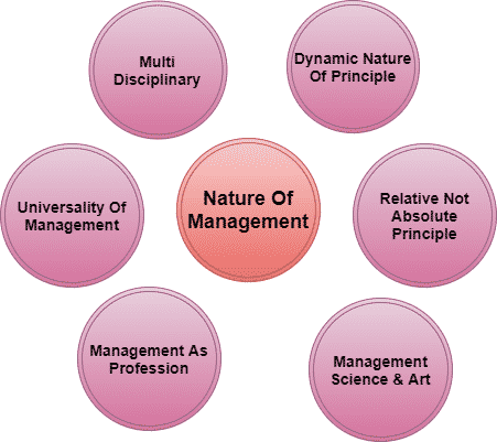 nature of management