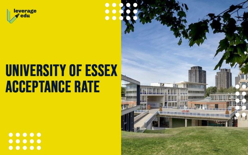 University of Essex Acceptance Rate