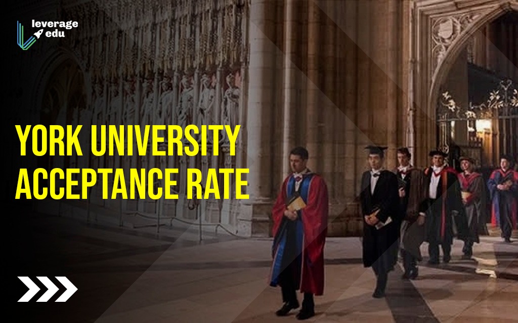 university of york acceptance rate international students INFOLEARNERS
