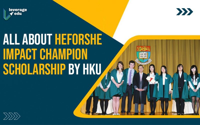 All About HeforShe Impact Champion Scholarship by HKU