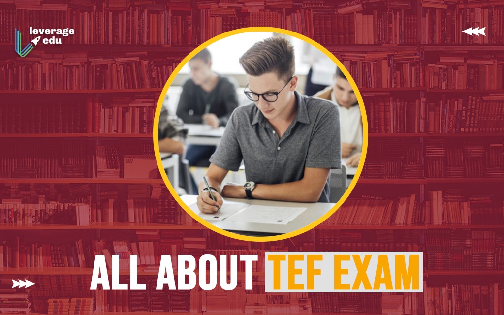 All About the TEF Exam