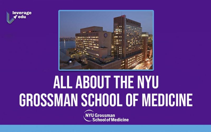 All About the NYU Grossman School of Medicine