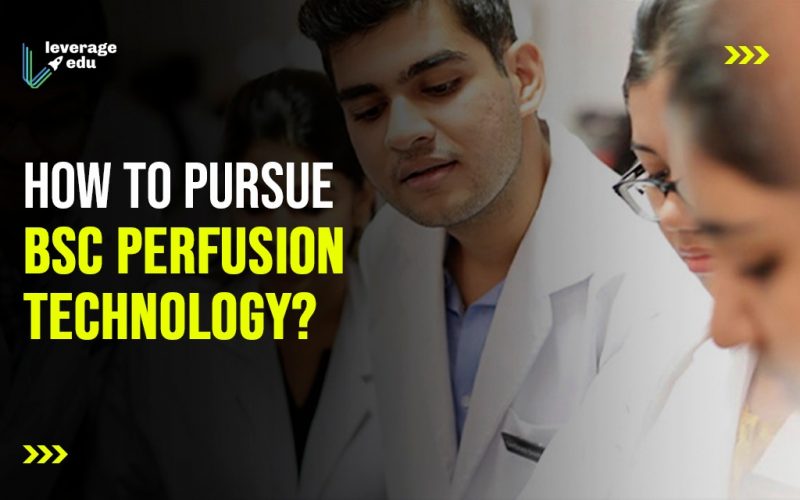 How to Pursue BSc Perfusion Technology