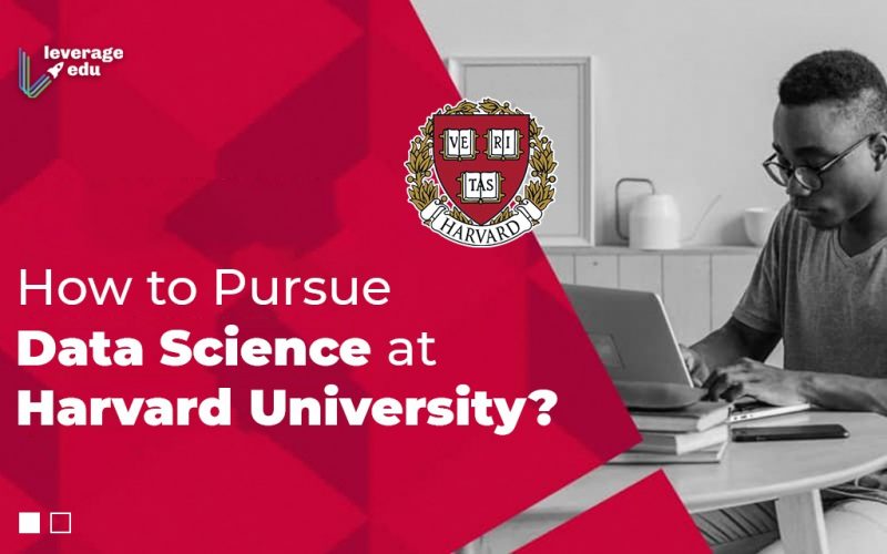 How to Pursue Data Science at Harvard University