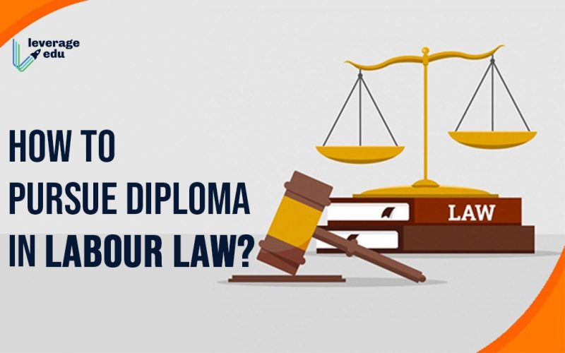 How to Pursue Diploma in Labour Law