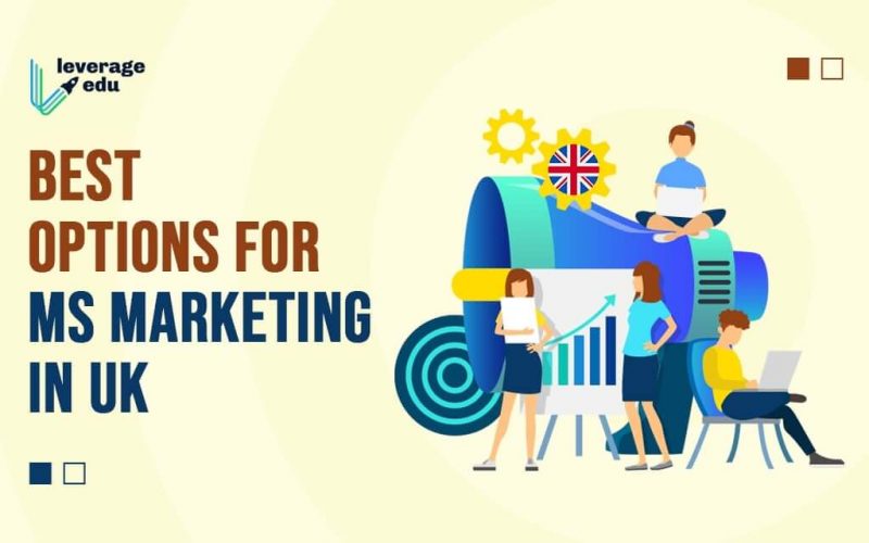 Best Options for MS Marketing in UK (1)