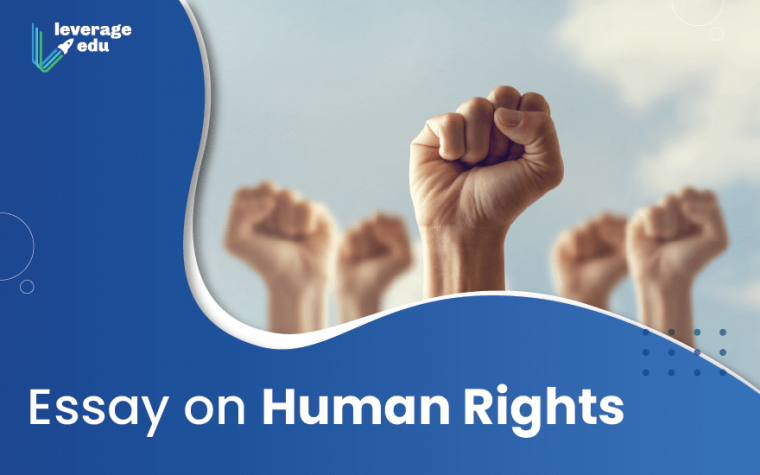 explain human rights essay