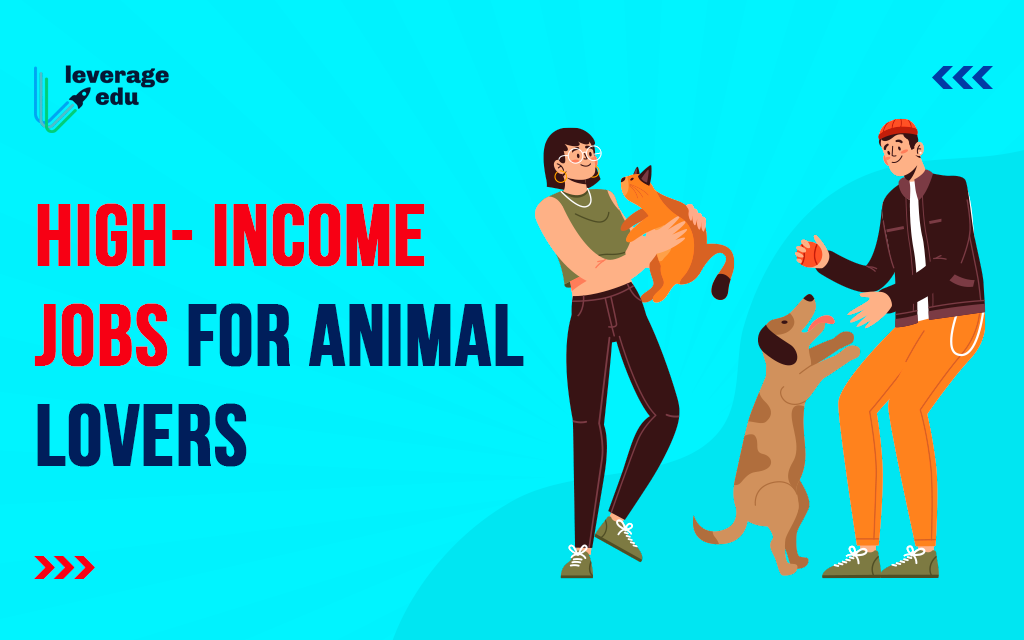 10 Highest Paying Jobs for Animal Lovers | Leverage Edu