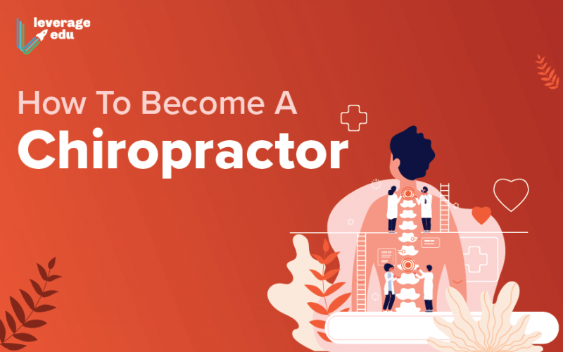 How To Become A Chiropractor