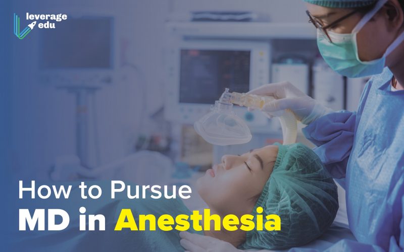 MD in Anesthesia