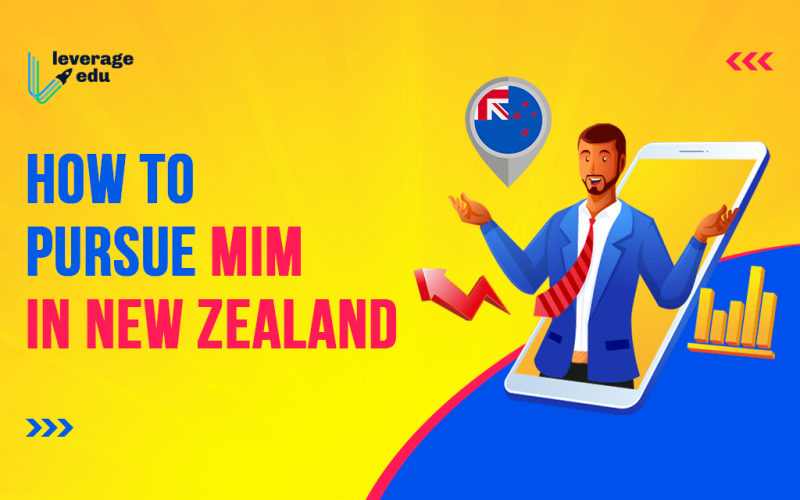 How to Pursue MIM in New Zealand
