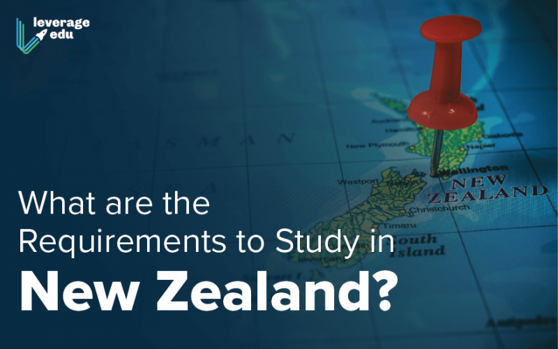 What are the Requirements to Study in New Zealand_-04 (1)