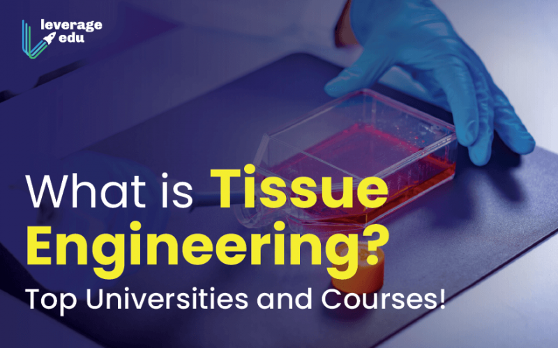 What is Tissue Engineering_ Top Universities and Courses!-02 (1)