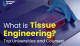 What is Tissue Engineering_ Top Universities and Courses!-02 (1)