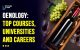 Oenology Top Courses, Universities and Careers (3)